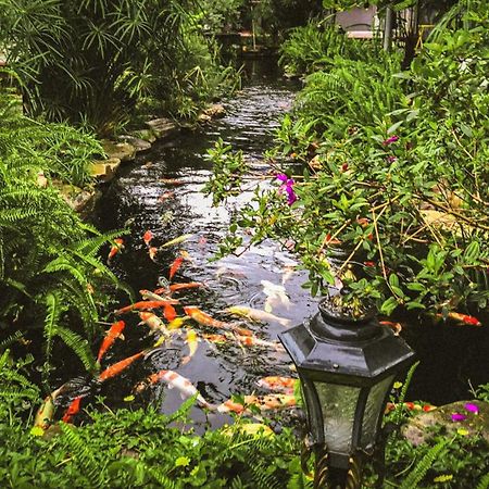 Window Homestay Tỉnh Kontum Екстериор снимка