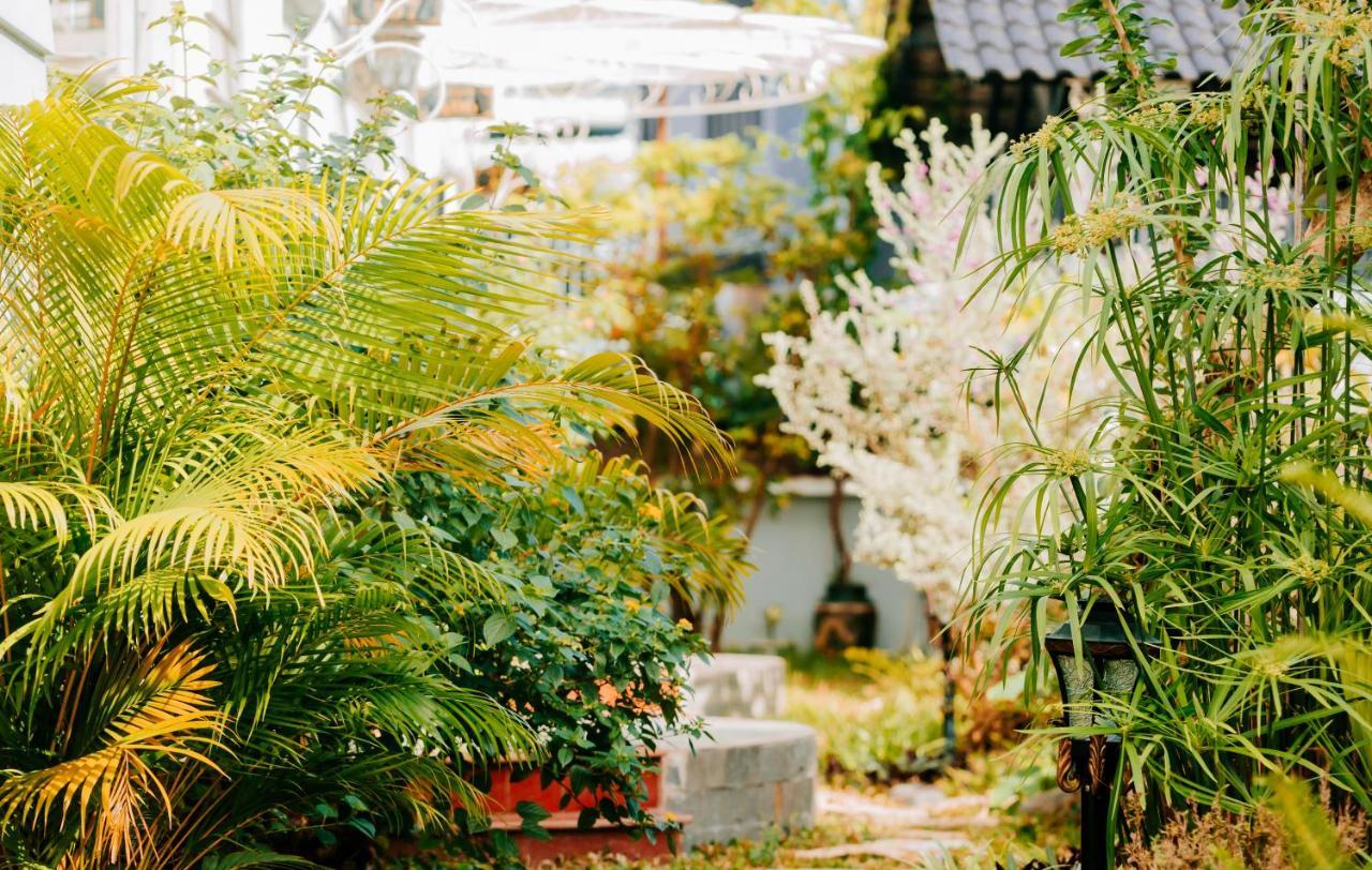 Window Homestay Tỉnh Kontum Екстериор снимка