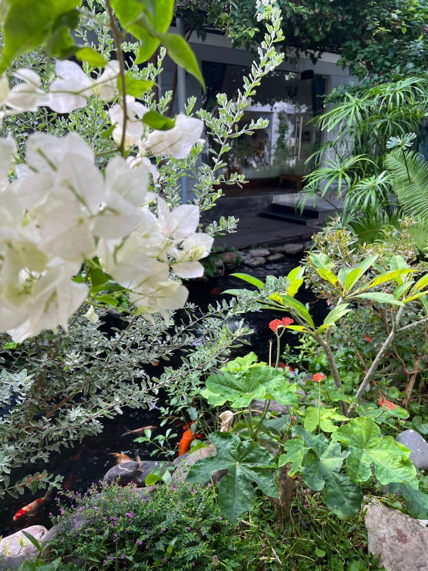 Window Homestay Tỉnh Kontum Екстериор снимка